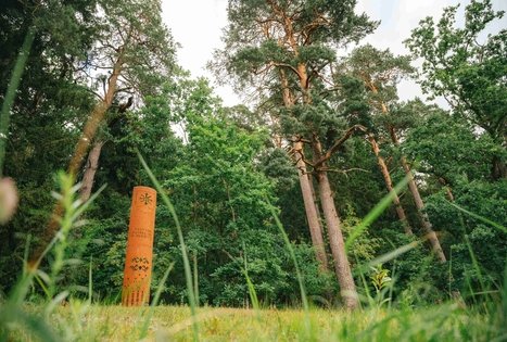 Miško Takas 66. Kulautuva – Vilkija.