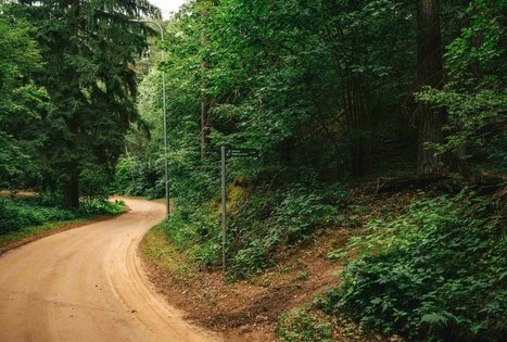 Miško Takas 66. Kulautuva – Vilkija.