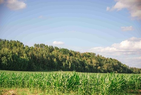 Pašventupio II piliakalnis