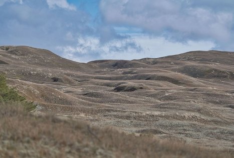 Naglių gamtinio rezervato pažintinis takas