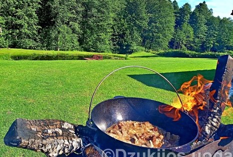 Sodyba „Dzūkų uoga“