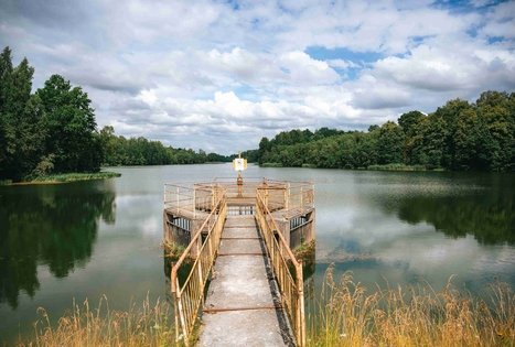 Purviškių tvenkinys