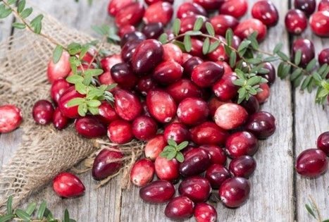 Ūkininkė Audronė Ispiryan