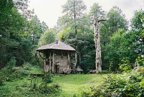 Rašytojo A. Matučio drevė