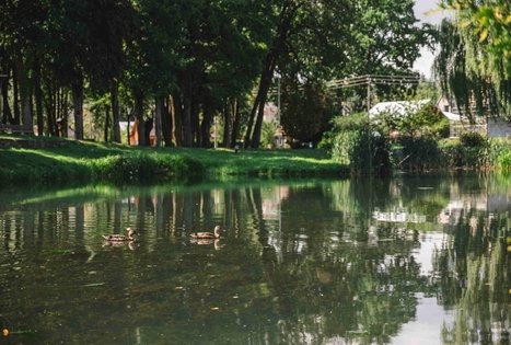 Miško Takas 60. Birštonas – Alksniakiemis.