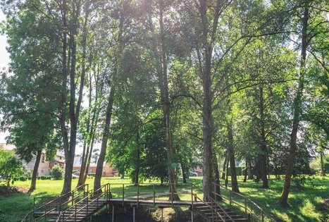 Miško Takas 60. Birštonas – Alksniakiemis.