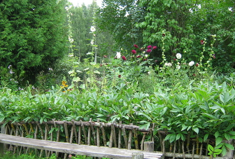 Ūkis „Riekstiņi“ / „Riešutėliai“