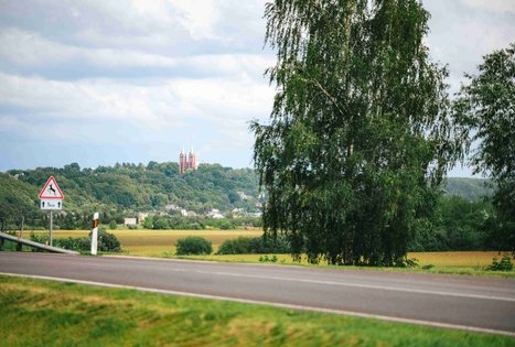 Miško Takas 67. Vilkija – Padubysys.