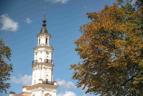 Miško Takas 64. Kaunas – Lampėdžiai.