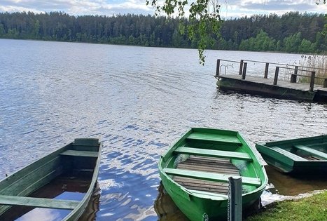 Stasės Kraujalienės sodyba