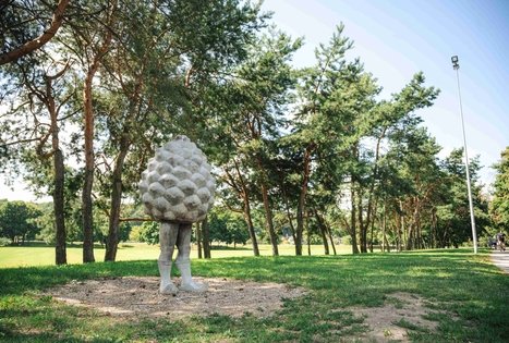 Miško Takas 64. Kaunas – Lampėdžiai.