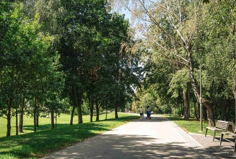 Miško Takas 64. Kaunas – Lampėdžiai.