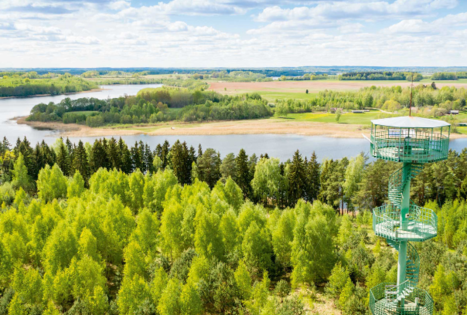 Sartų ežero apžvalgos bokštas