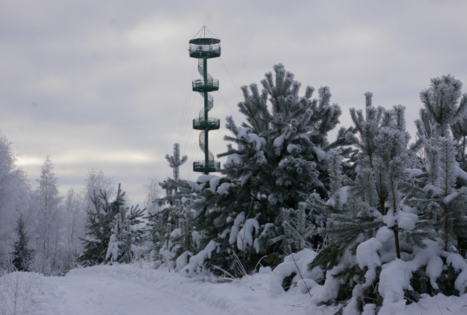 Sartų ežero apžvalgos bokštas