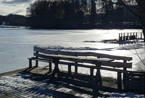 Nijolės ir Henriko Zubrickų sodyba