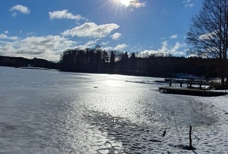 Nijolės ir Henriko Zubrickų sodyba