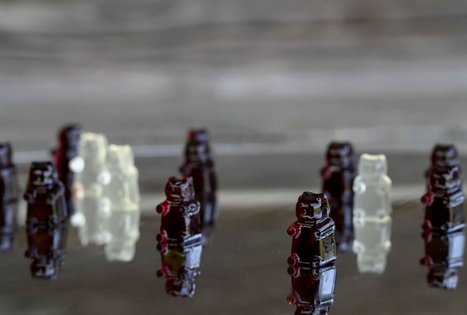 Šeivamedžio skanumynų dirbtuvės