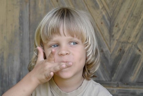 Šeivamedžio skanumynų dirbtuvės