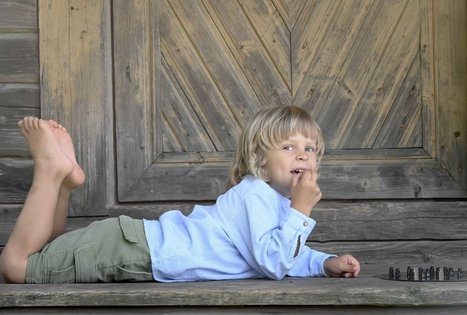 Šeivamedžio skanumynų dirbtuvės