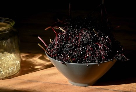 Šeivamedžio skanumynų dirbtuvės