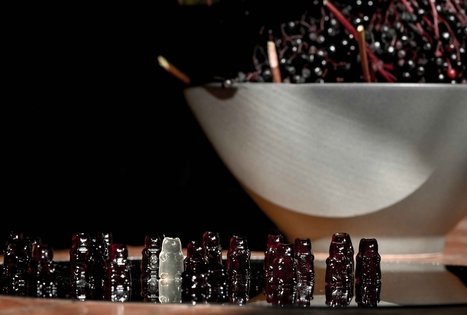 Šeivamedžio skanumynų dirbtuvės