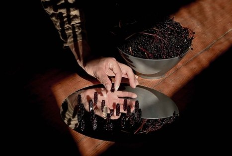 Šeivamedžio skanumynų dirbtuvės