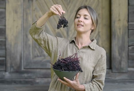 Šeivamedžio skanumynų dirbtuvės