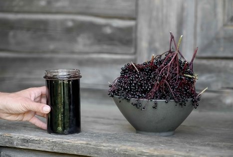 Šeivamedžio skanumynų dirbtuvės