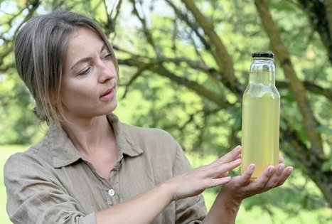 Šeivamedžio skanumynų dirbtuvės