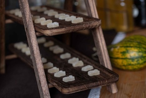 Atraskite šeivamedžio paslaptis Panekelpiuose