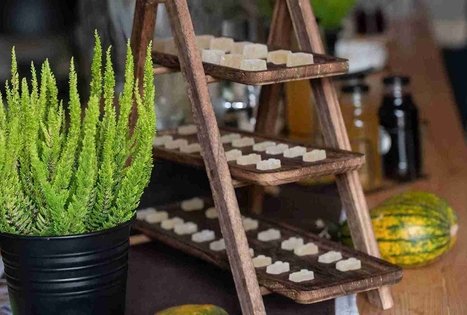 Atraskite šeivamedžio paslaptis Panekelpiuose