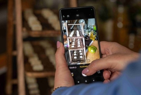 Atraskite šeivamedžio paslaptis Panekelpiuose