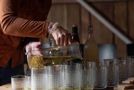 Atraskite šeivamedžio paslaptis Panekelpiuose