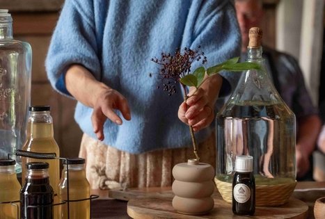 Atraskite šeivamedžio paslaptis Panekelpiuose