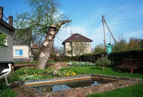 Seniausia Lietuvos obelis