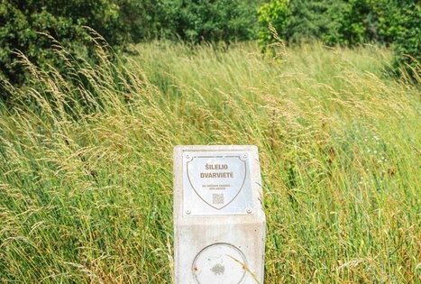 Miško Takas 65. Lampėdžiai – Kulautuva.