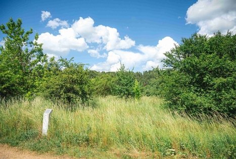 Miško Takas 65. Lampėdžiai – Kulautuva.