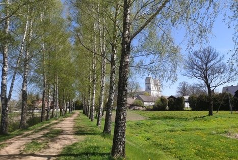 Vinco Kudirkos muziejus