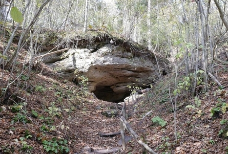 Skališkių (Liucionių) uola