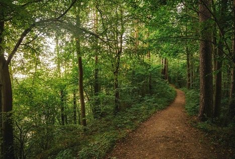 Škėvonių pažintinis gamtos takas