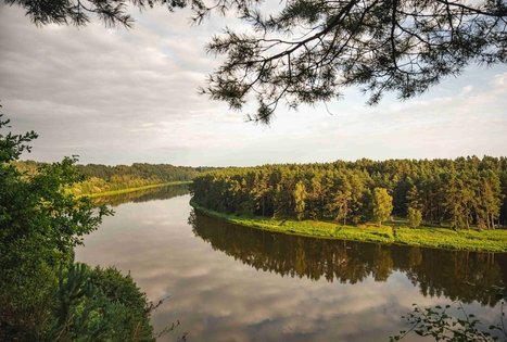 Škėvonių pažintinis gamtos takas