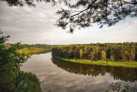 Miško Takas 59. Panemunis – Birštonas.
