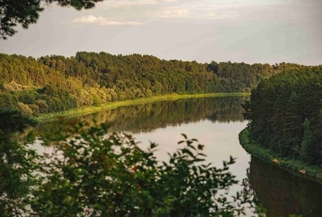 Miško Takas 59. Panemunis – Birštonas.