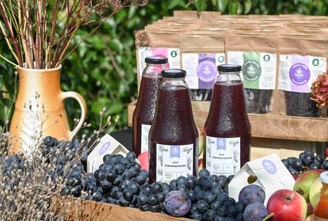 Uogų ir vaisių kelias