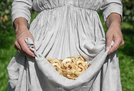 Uogų ir vaisių kelias