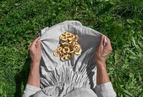 Uogų ir vaisių kelias