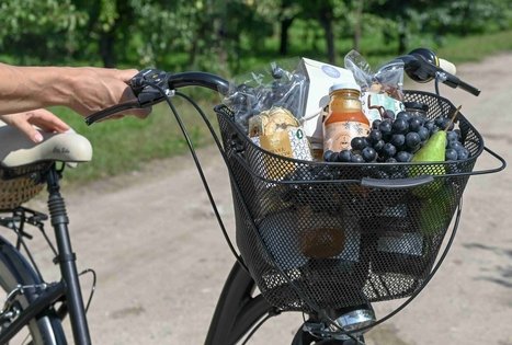 Uogų ir vaisių kelias