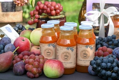 Uogų ir vaisių kelias