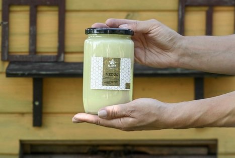 Uogų ir vaisių kelias