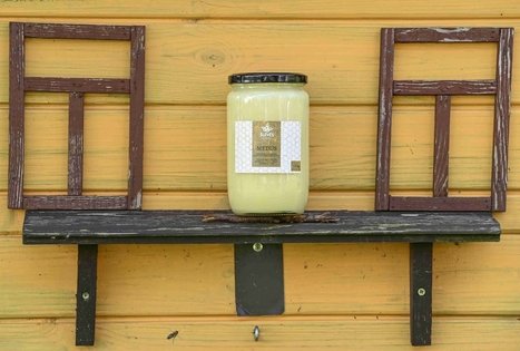 Uogų ir vaisių kelias